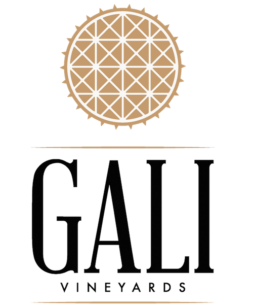 gali_website_logo